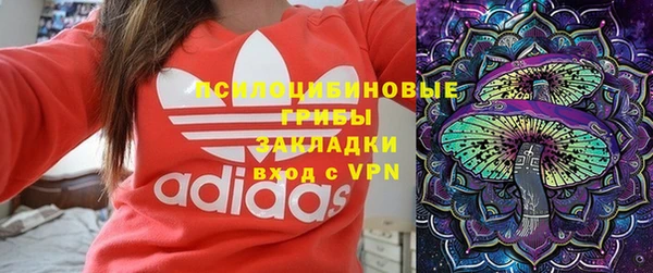 ПСИЛОЦИБИНОВЫЕ ГРИБЫ Аркадак