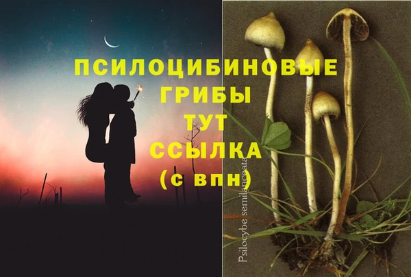 спайс Армянск