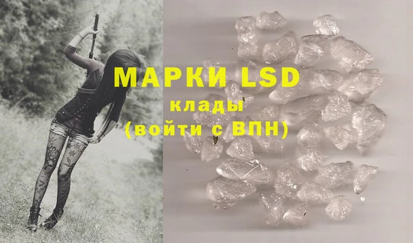 ПСИЛОЦИБИНОВЫЕ ГРИБЫ Аркадак